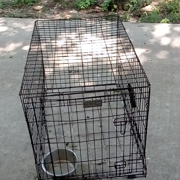 Dog cagefrom. (PETCO)